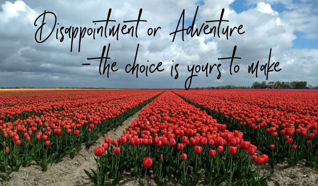 Choose adventure!